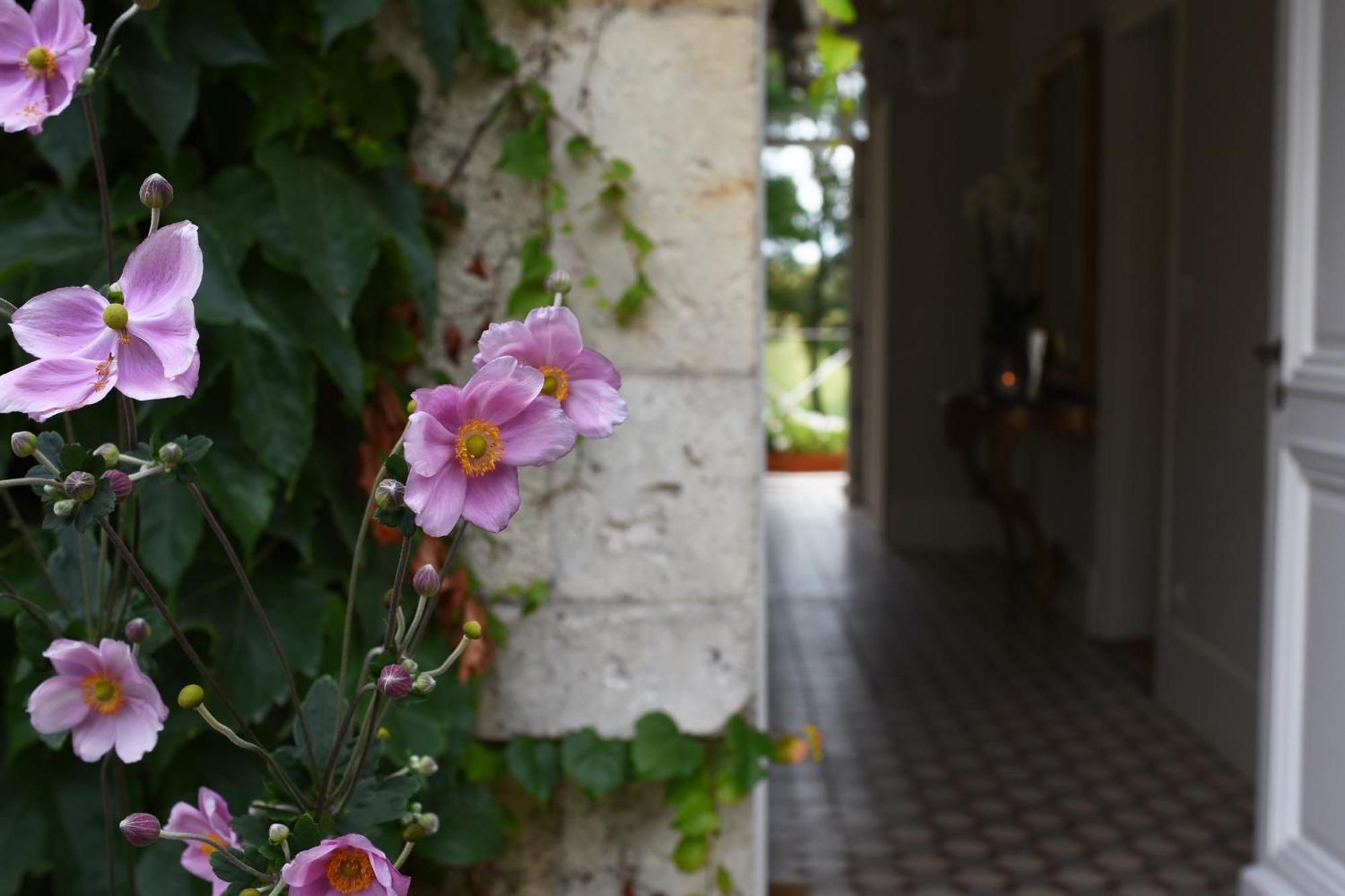 Bed and Breakfast Domaine De L'Ermitage Berry-Bouy Exterior foto